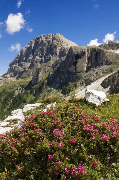 Dolomiti yakınındaki san martino di castrozza, trentino, İtalya