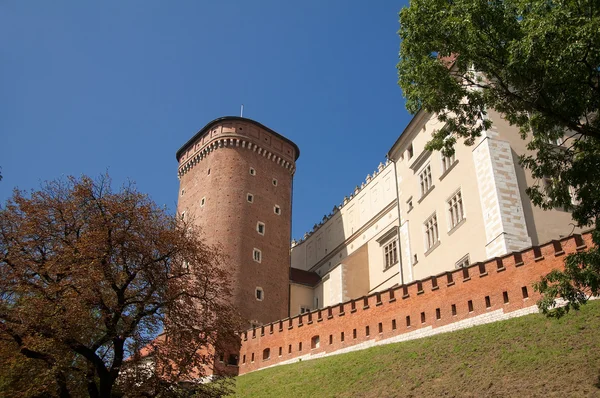 Krakova, Puola, Wawelin linna — kuvapankkivalokuva