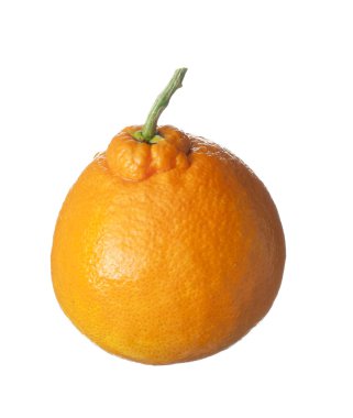 geïsoleerde fruit op wit, een oranje