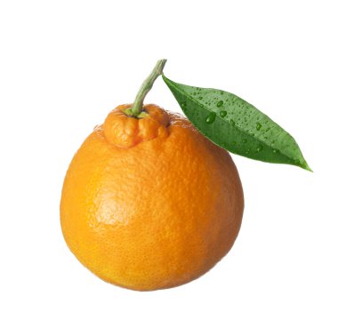 geïsoleerde fruit op wit, een oranje