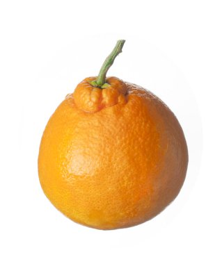 geïsoleerde fruit op wit, een oranje