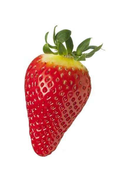 Isolierte Frucht auf Weiß, eine Erdbeere — Stockfoto
