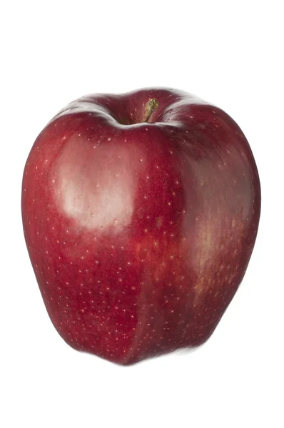 Fruta aislada sobre blanco, una manzana roja — Foto de Stock