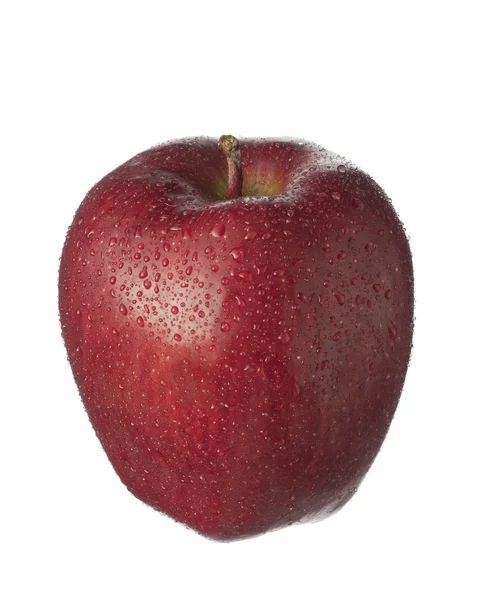 Na białym tle owoc na białe, czerwone jabłko z kropli — Zdjęcie stockowe