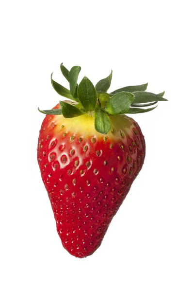 Isolierte Frucht auf Weiß, eine Erdbeere — Stockfoto