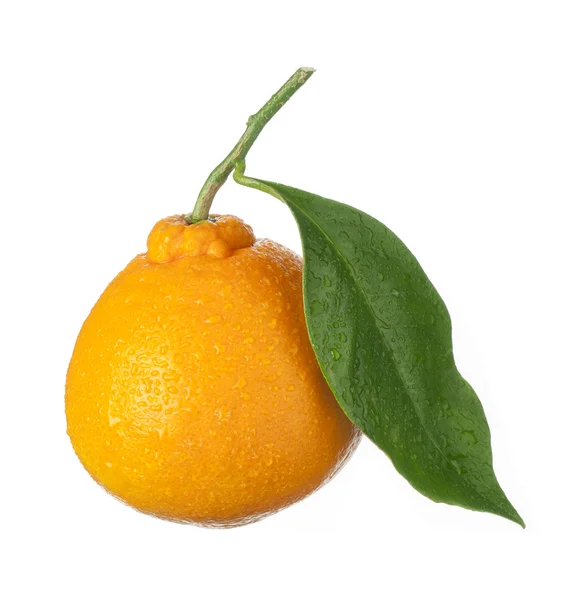 Frutto isolato su bianco, un arancione — Foto Stock