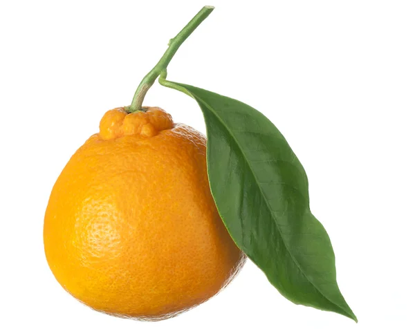 Fruta isolada em branco, uma laranja — Fotografia de Stock