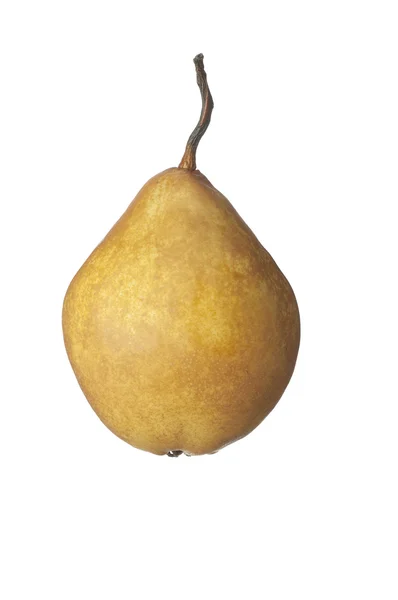 Isolerade frukt på vitt, ett päron — Stockfoto