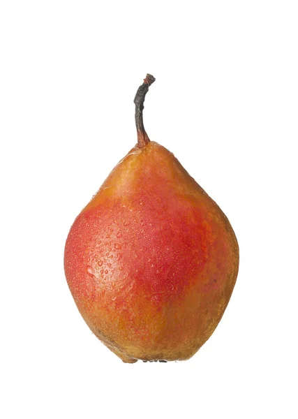 Απομονωμένη φρούτο σε λευκό, ένα φρούτο αχλάδι απομονωθεί σε λευκό, ένα αχλάδι wi — Φωτογραφία Αρχείου