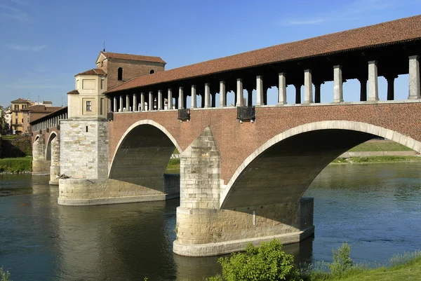 Перегляд Pavia — стокове фото