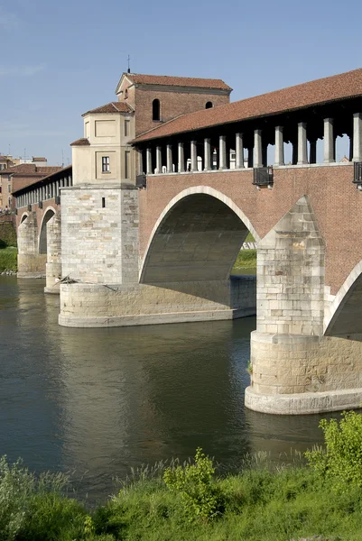 Blick auf Pavia — Stockfoto