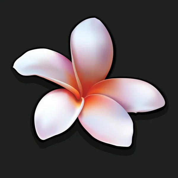 Flower01 — Stock Vector