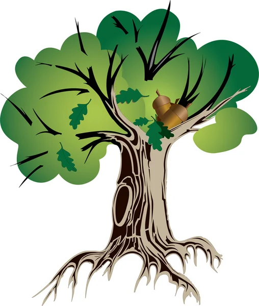 Дерево — стоковый вектор
