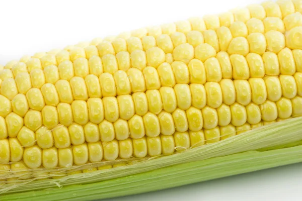 Fresh Corn — Stock Photo, Image