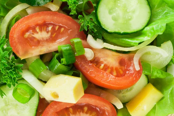 stock image Salad