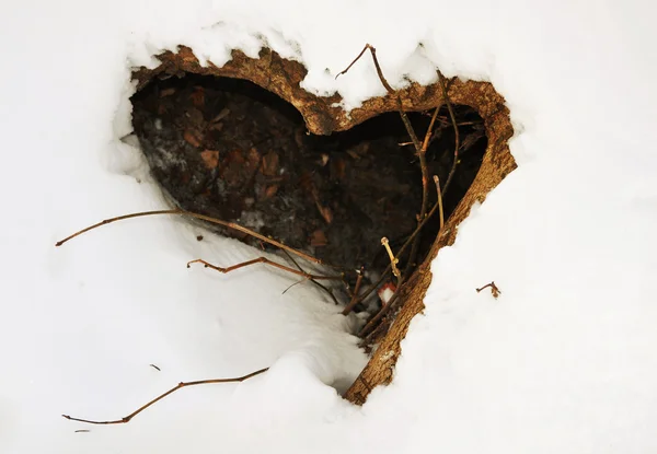 Stock image Shape of the heart from the tree