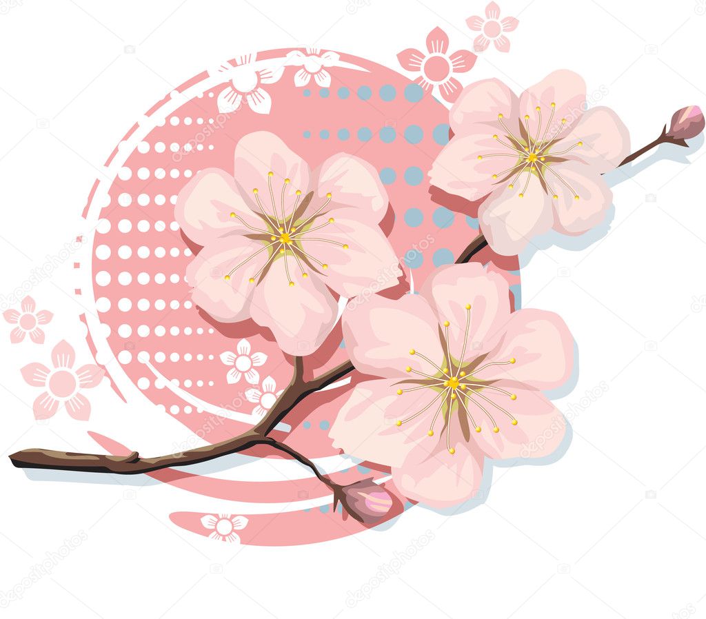 Bloosom Sakura Cherry Including Vector Format
