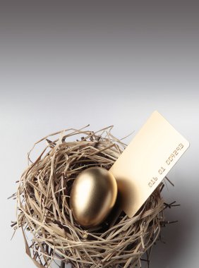 kredi kartı - ekonomi kavramı ile yuvadaki altın yumurta