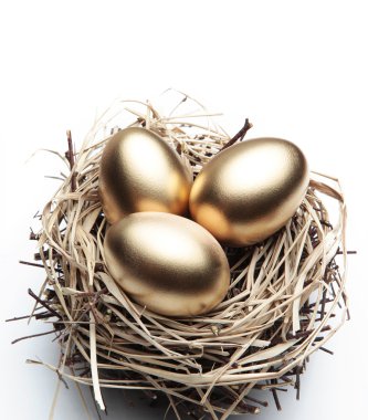 altın yumurta yuvada - ekonomi kavramı