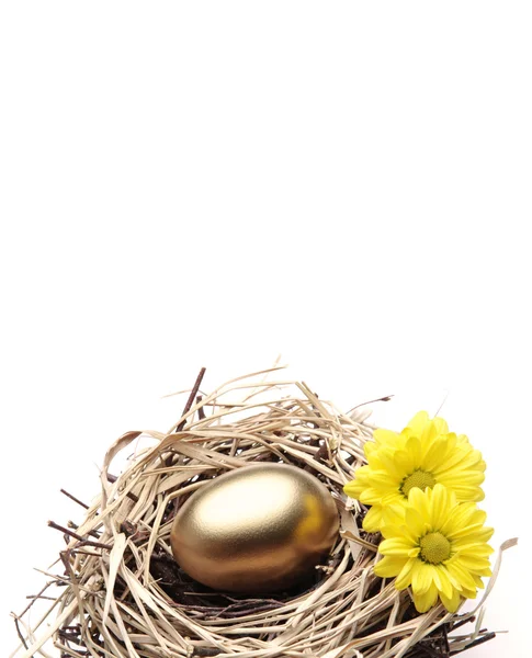 stock image Golden Egg in the Nest with Flowers - Finance Concept