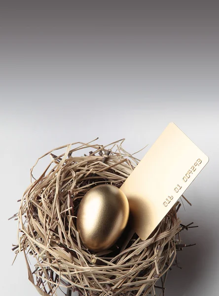 クレジット カード - ファイナンスの概念で巣の中で黄金の卵 — ストック写真