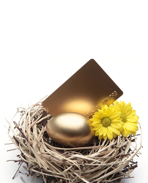 Stock image Golden Egg in the Nest with Credit Card - Finance Concept