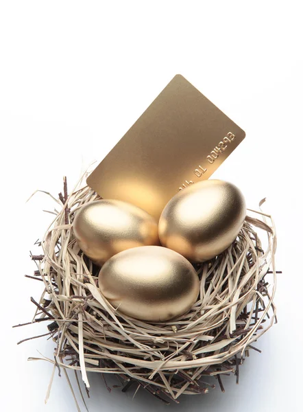 stock image Golden Eggs in the Nest with Credit Card - Finance Concept