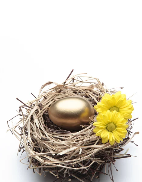 stock image Golden Egg in the Nest with Flowers - Finance Concept