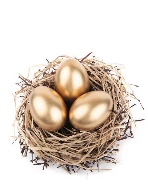 黄金の卵の巣 - 財務の概念 — ストック写真