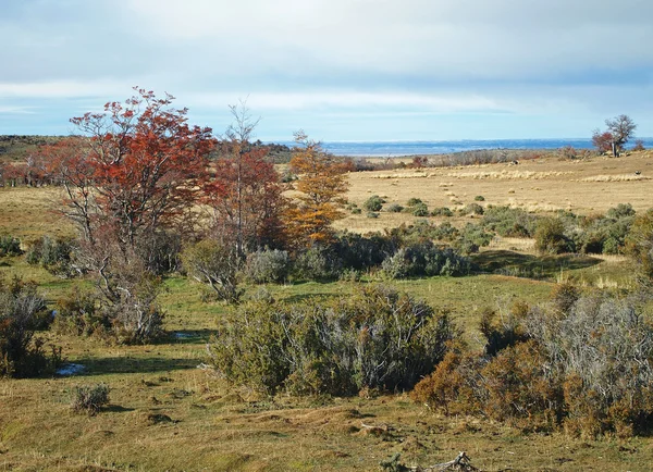 Seno skyring, Patagonie. — Stock fotografie