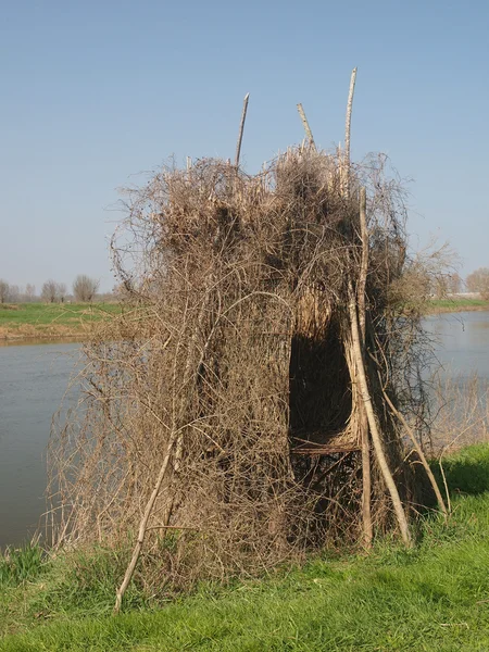 Stock image Duck hunt shelter.