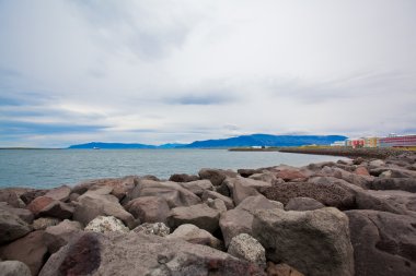 Reykjavik, İzlanda kıyıları