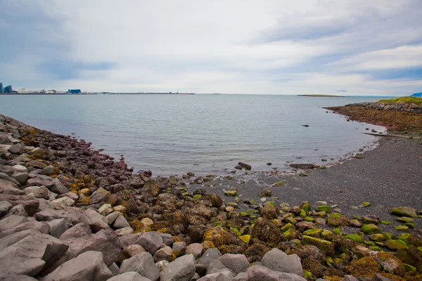 Reykjavik, İzlanda kıyıları