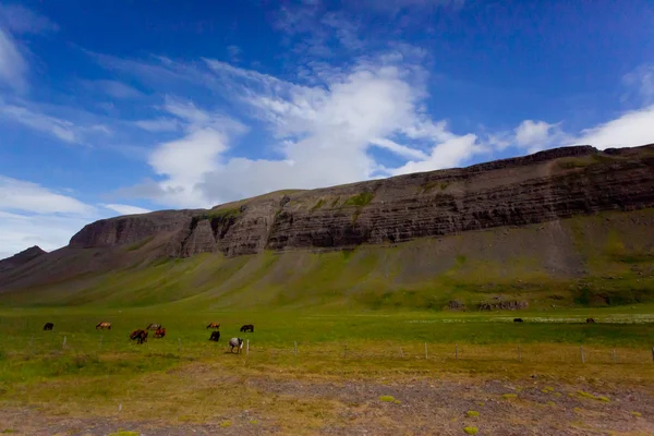 Krajina léto v horách na Islandu — Stock fotografie