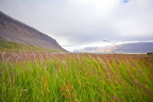 Krajobraz lato w górach Islandii — Zdjęcie stockowe