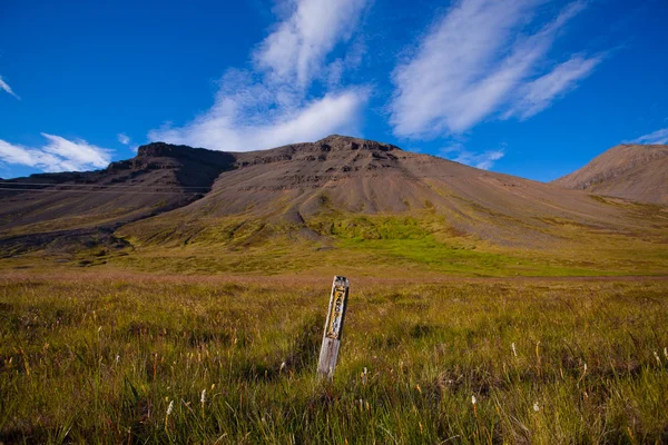 아이슬란드의 산의 여름 풍경 — 스톡 사진