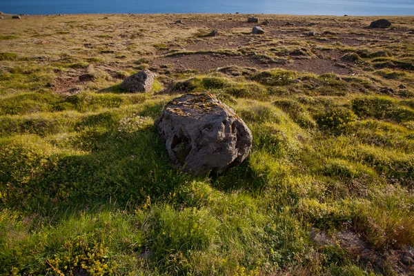 Paesaggio d'estate sulle montagne dell'Islanda — Foto Stock