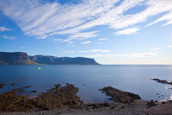Sommar landskap i fjordar på Island — Stockfoto