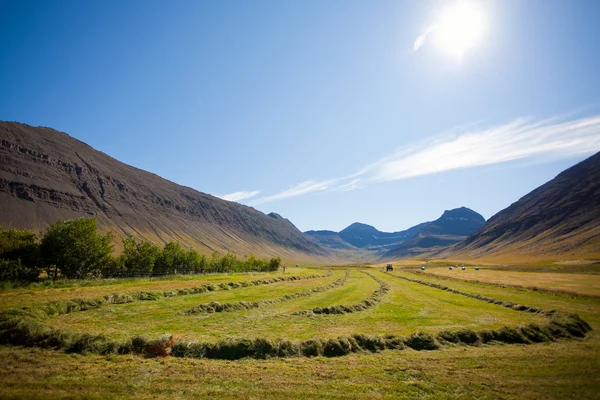 Letní krajina v horách na Islandu — Stock fotografie