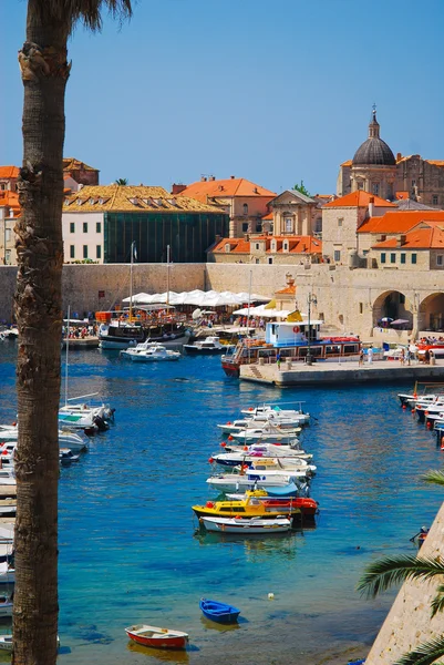 Дубровник, Хорватия, Лодки в порту — стоковое фото