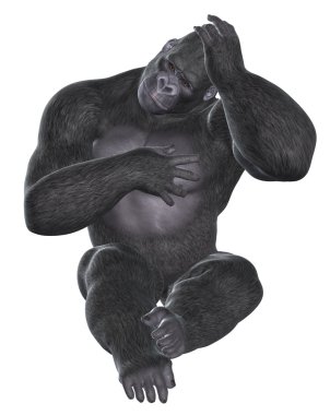 Thinking gorilla, goryl myśli clipart