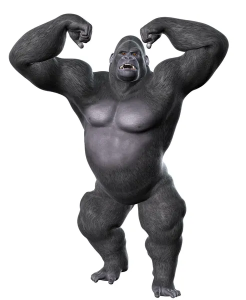 Wütender Gorilla, zły goryl — Stockfoto
