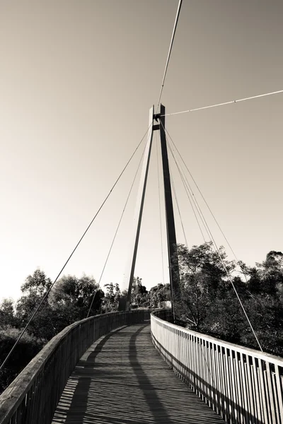Puente colgante en blanco y negro — Foto de Stock