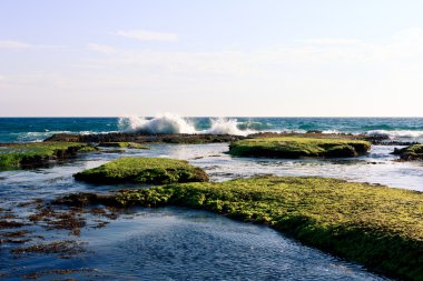 kayalık sahil