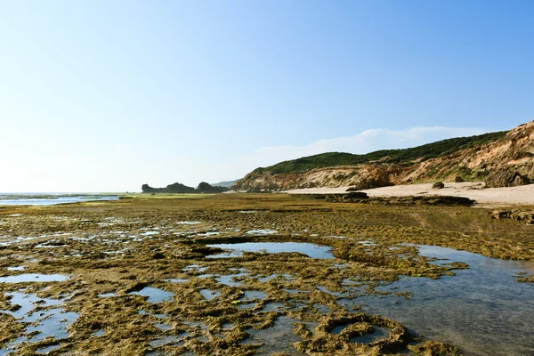 stock image Rocky shore