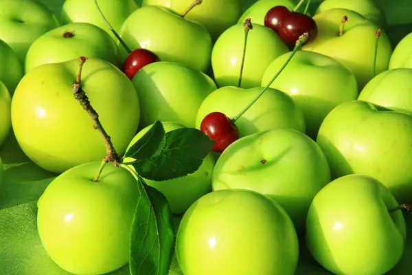 Ameixas e cerejas — Fotografia de Stock