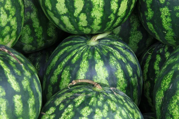 stock image Watermelons