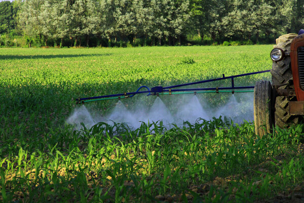 Тарлаиларкен
