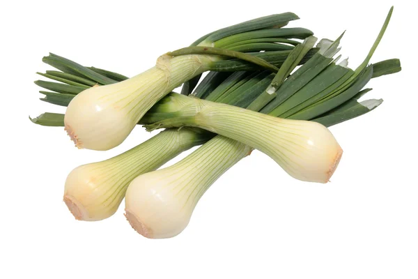 stock image Onions