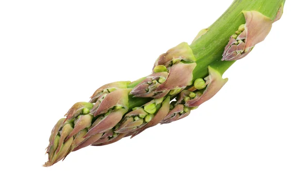 stock image Tip of green asparagus